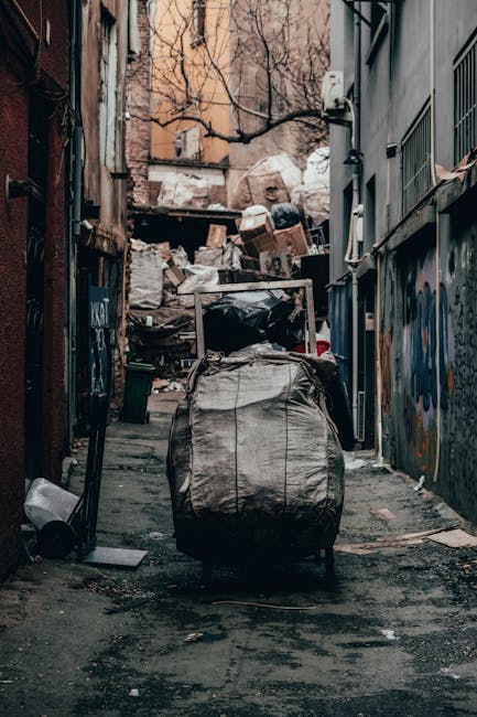 Bermondsey SE16 garden rubbish removal local options